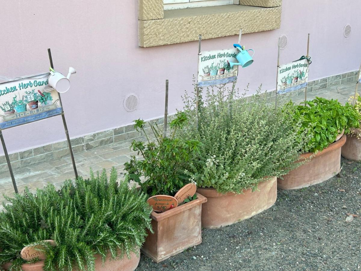チェチナ Fattoria Palazzeta - Pet & Family Friendlyアパートホテル エクステリア 写真