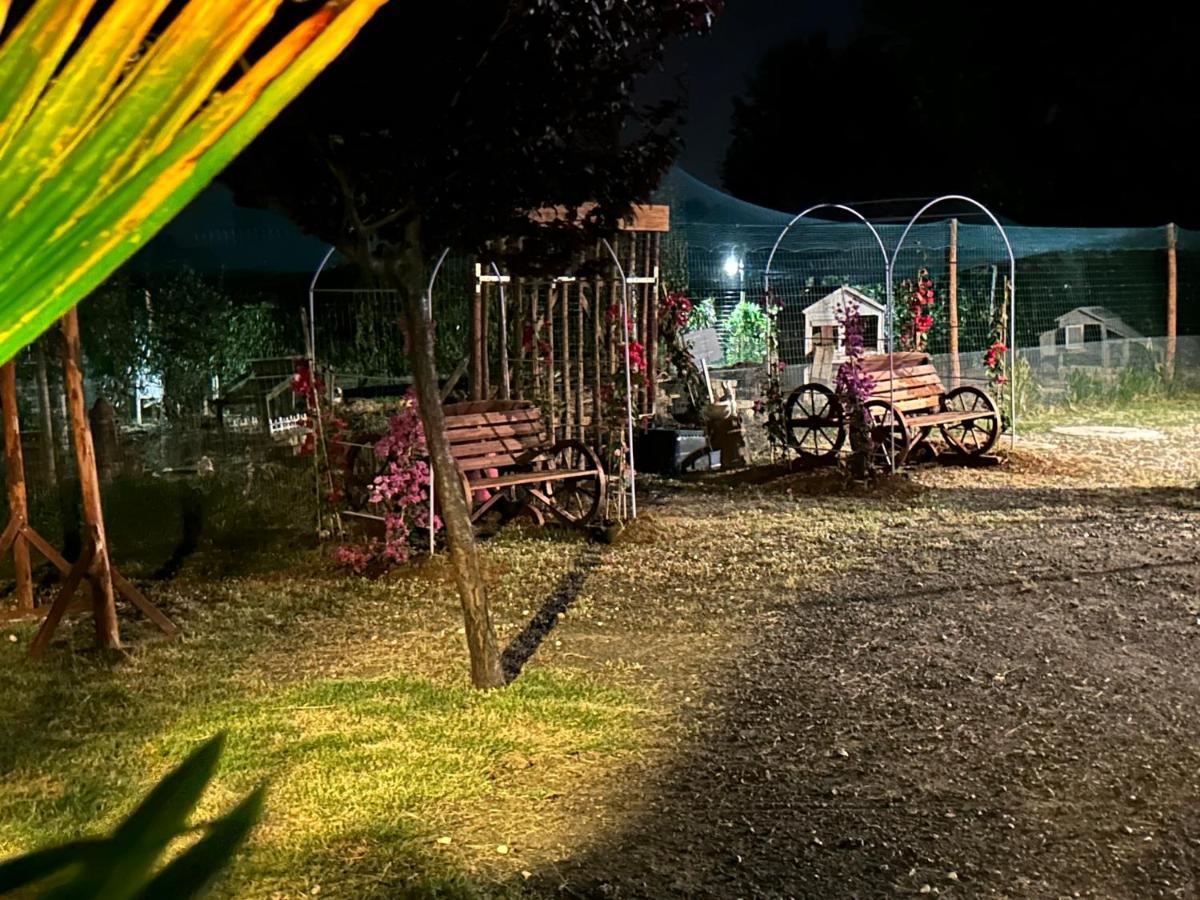 チェチナ Fattoria Palazzeta - Pet & Family Friendlyアパートホテル エクステリア 写真