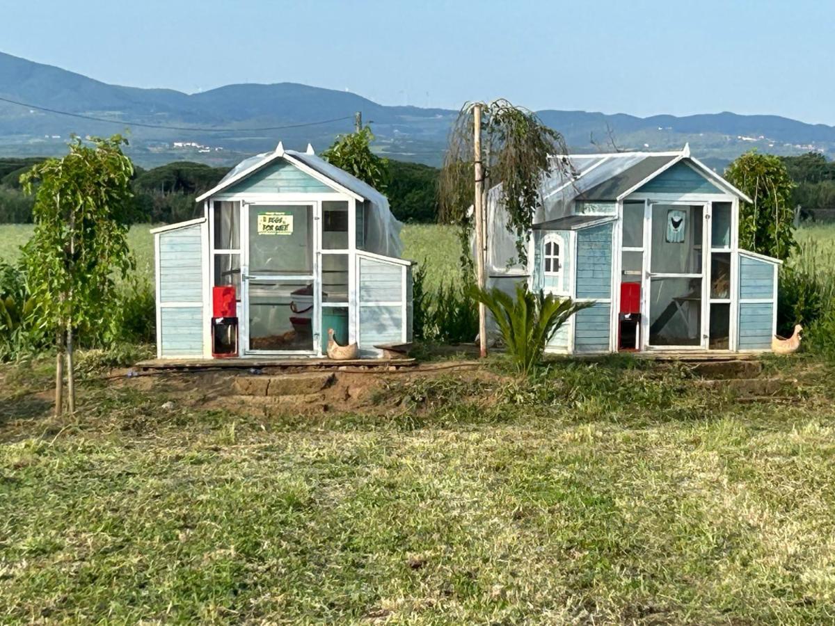 チェチナ Fattoria Palazzeta - Pet & Family Friendlyアパートホテル エクステリア 写真