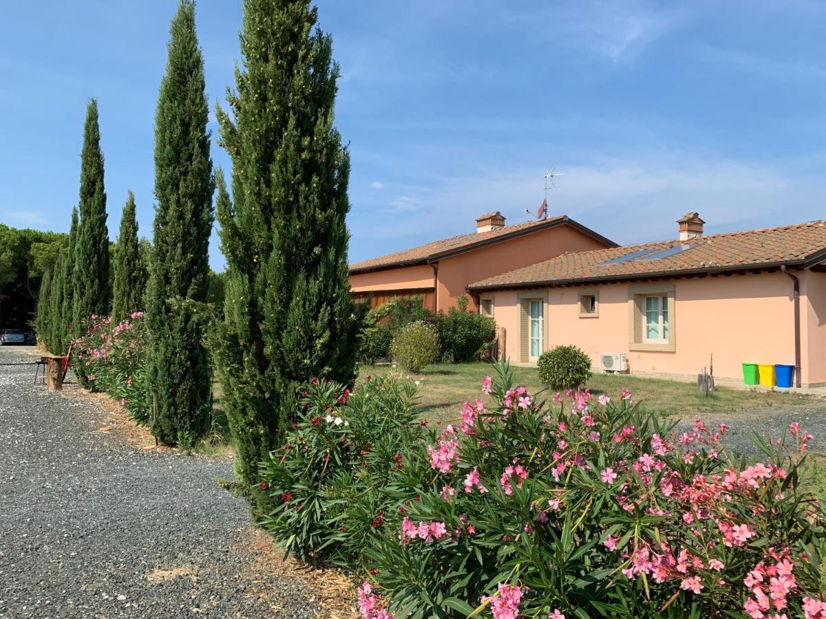 チェチナ Fattoria Palazzeta - Pet & Family Friendlyアパートホテル エクステリア 写真